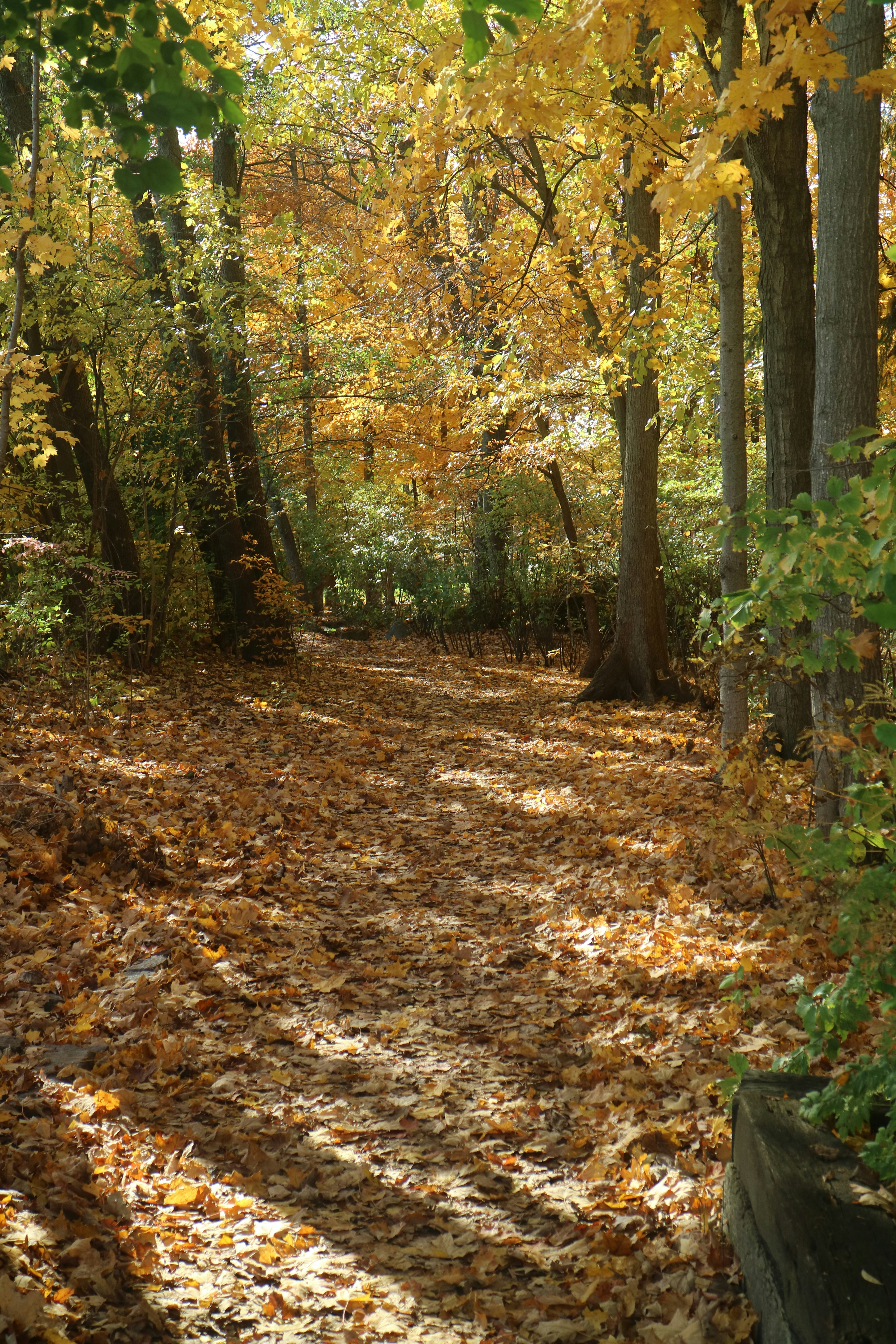 Photo by vincentyuan87