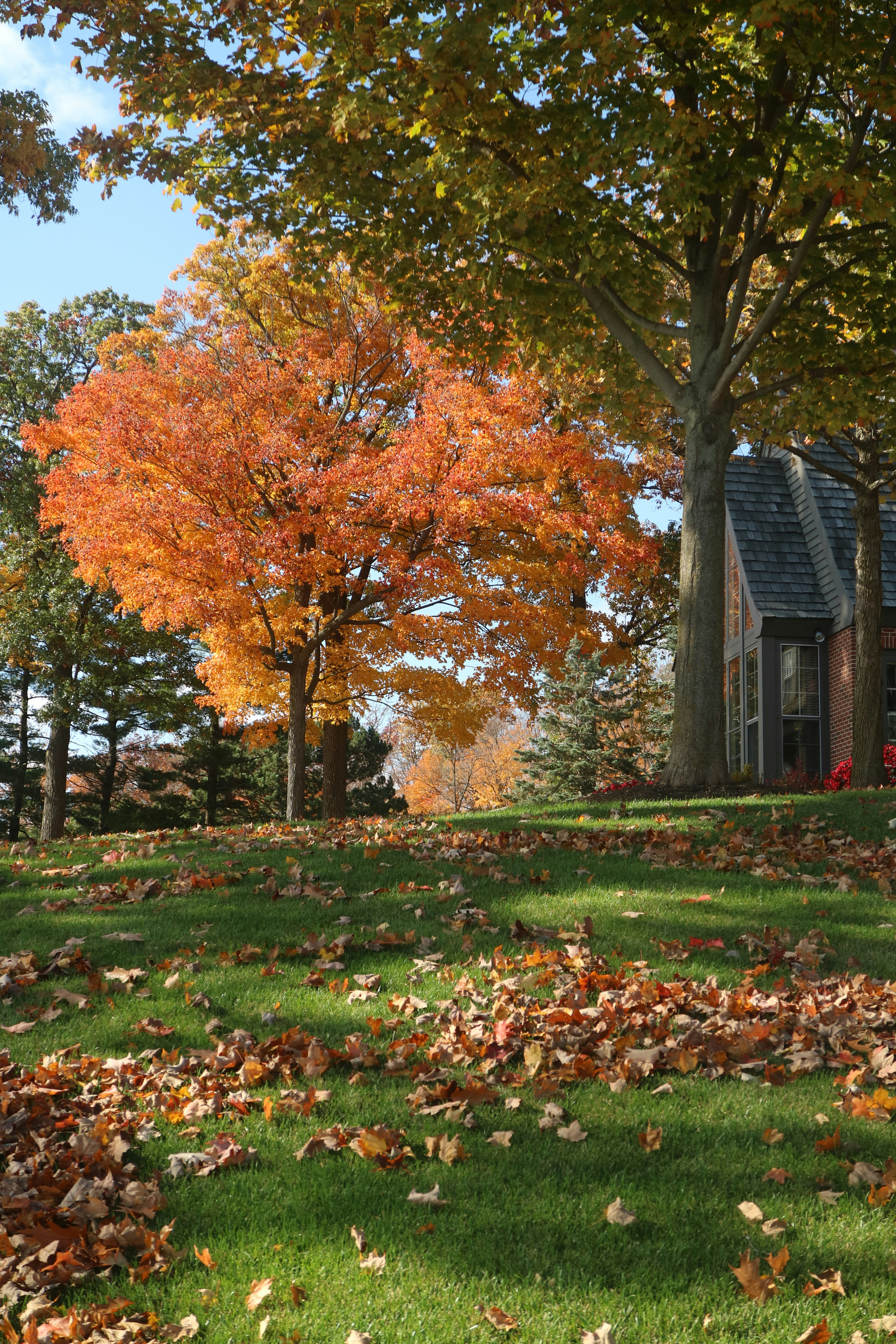 Photo by vincentyuan87