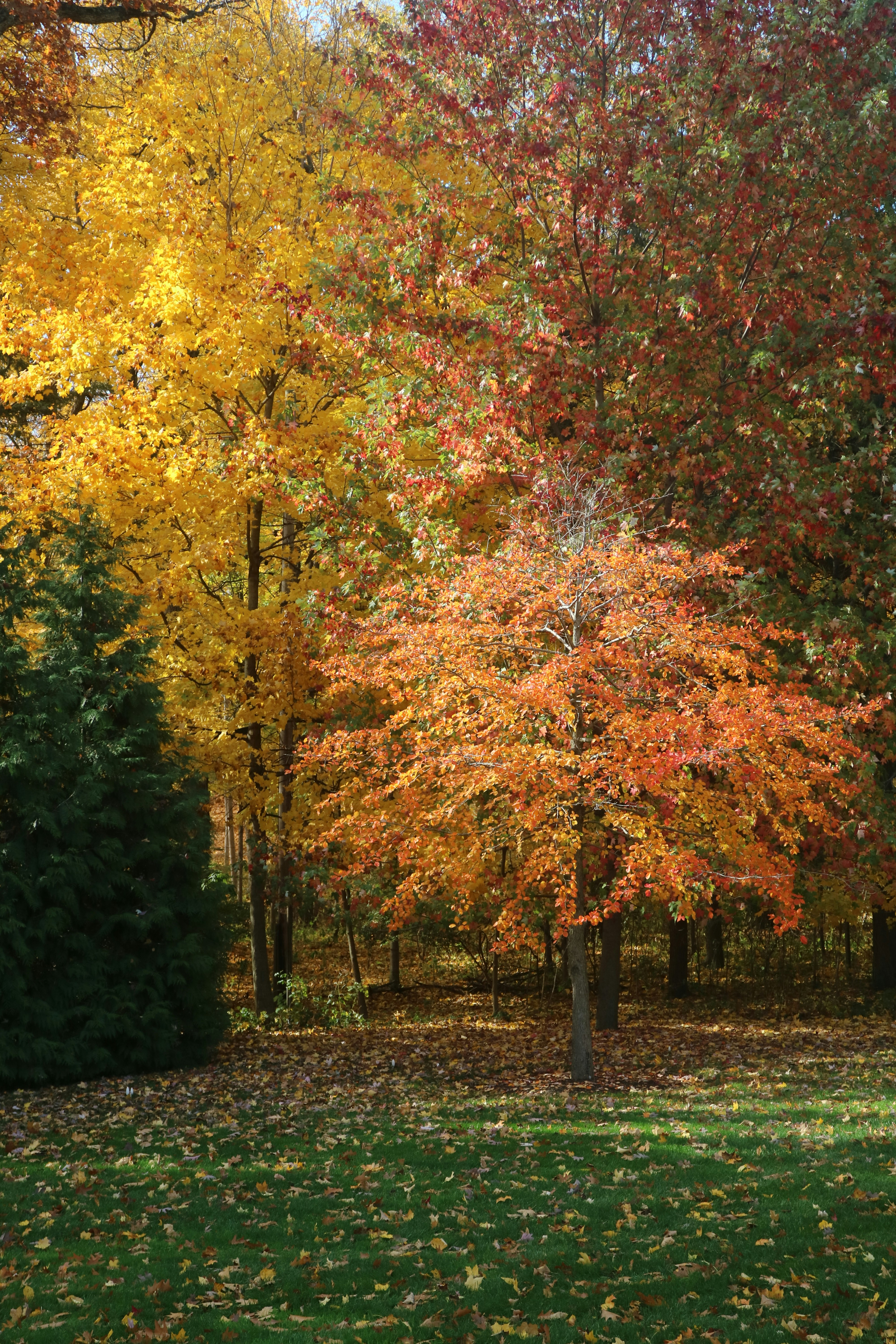 Photo by vincentyuan87