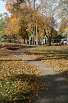a sidewalk in a park with lots of leaves on the ground