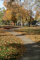 a sidewalk in a park with lots of leaves on the ground