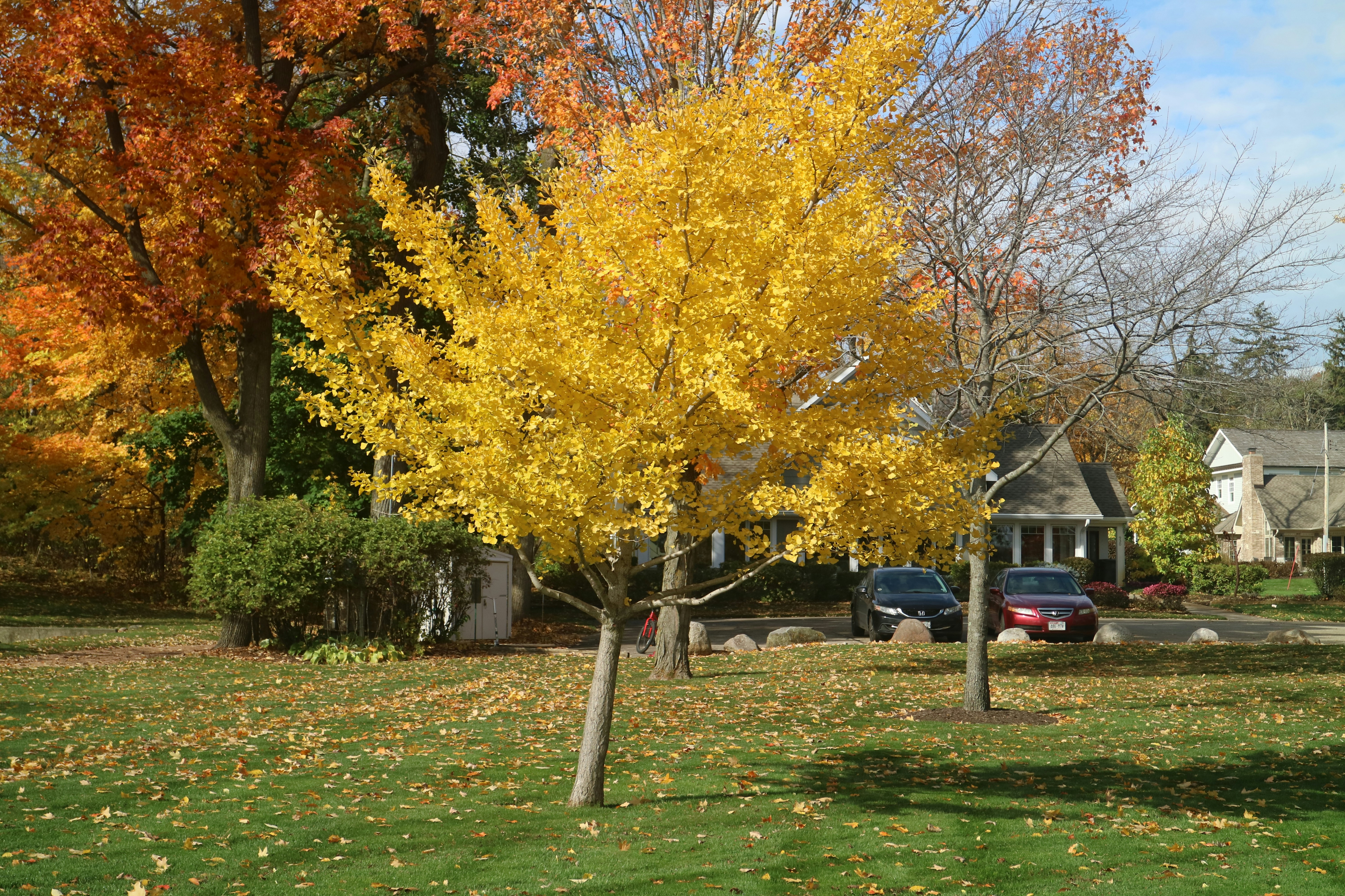 Photo by vincentyuan87