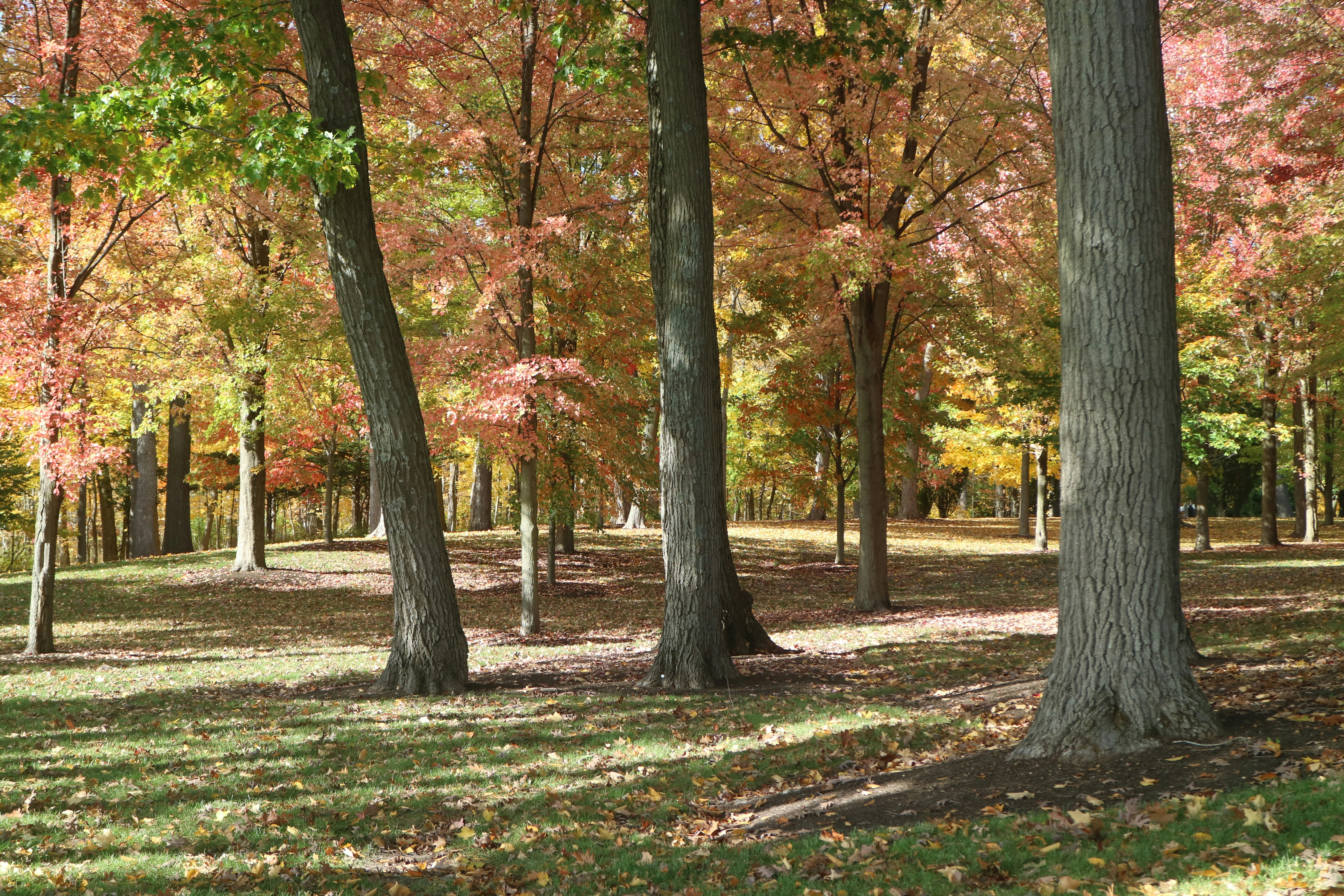 Photo by vincentyuan87