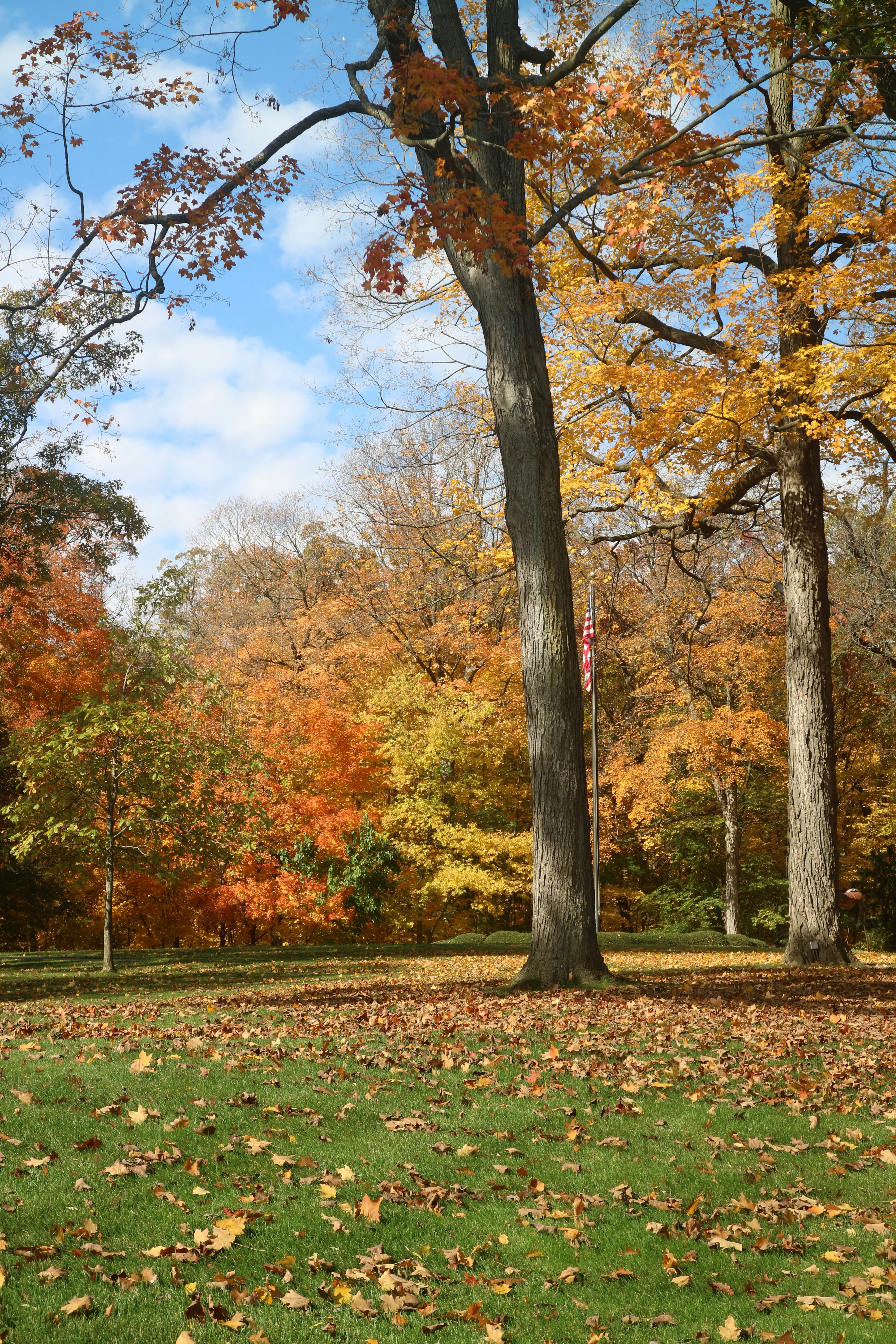 Photo by vincentyuan87