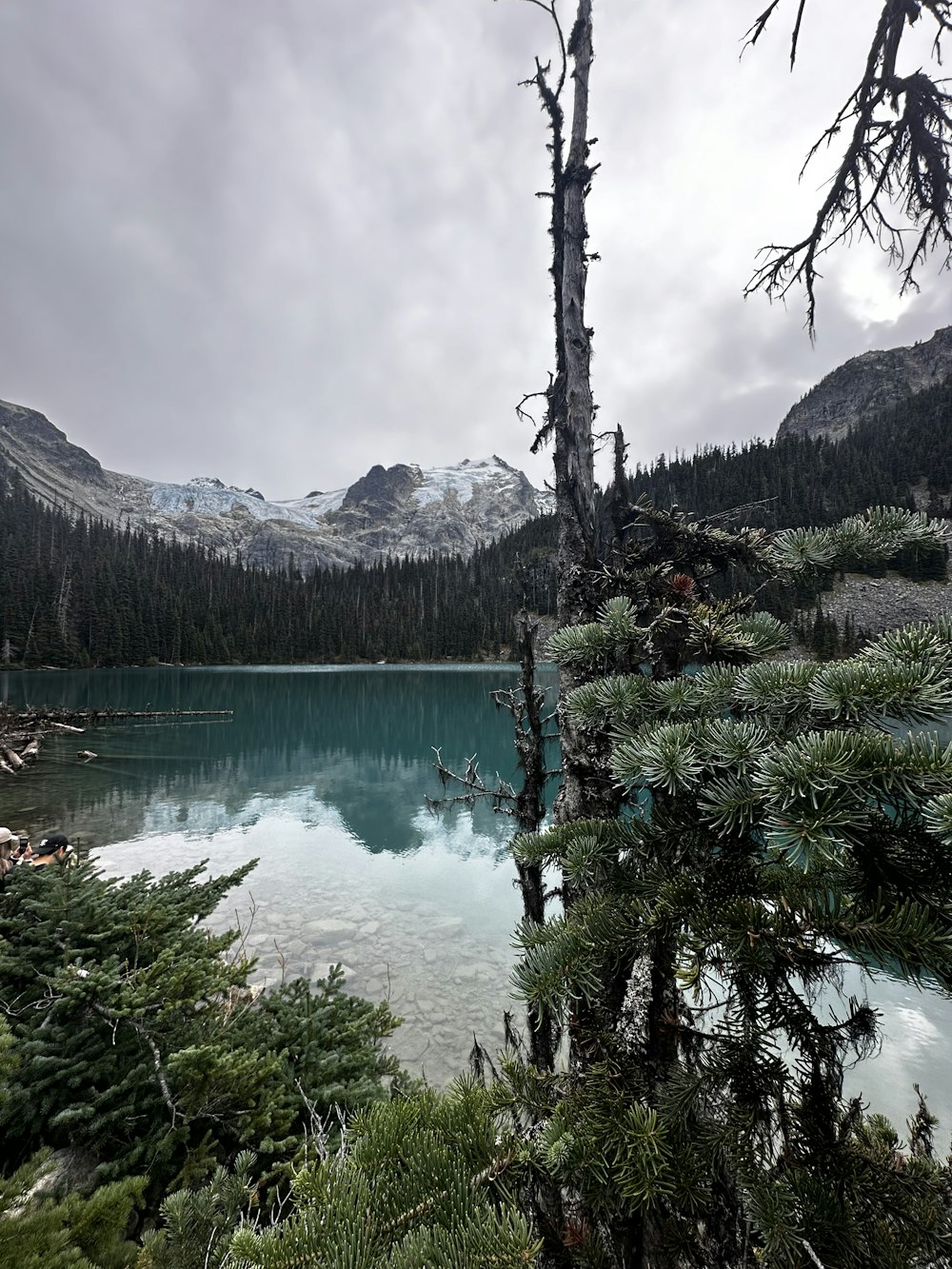 a lake surrounded by trees and mountains under a cloudy sky