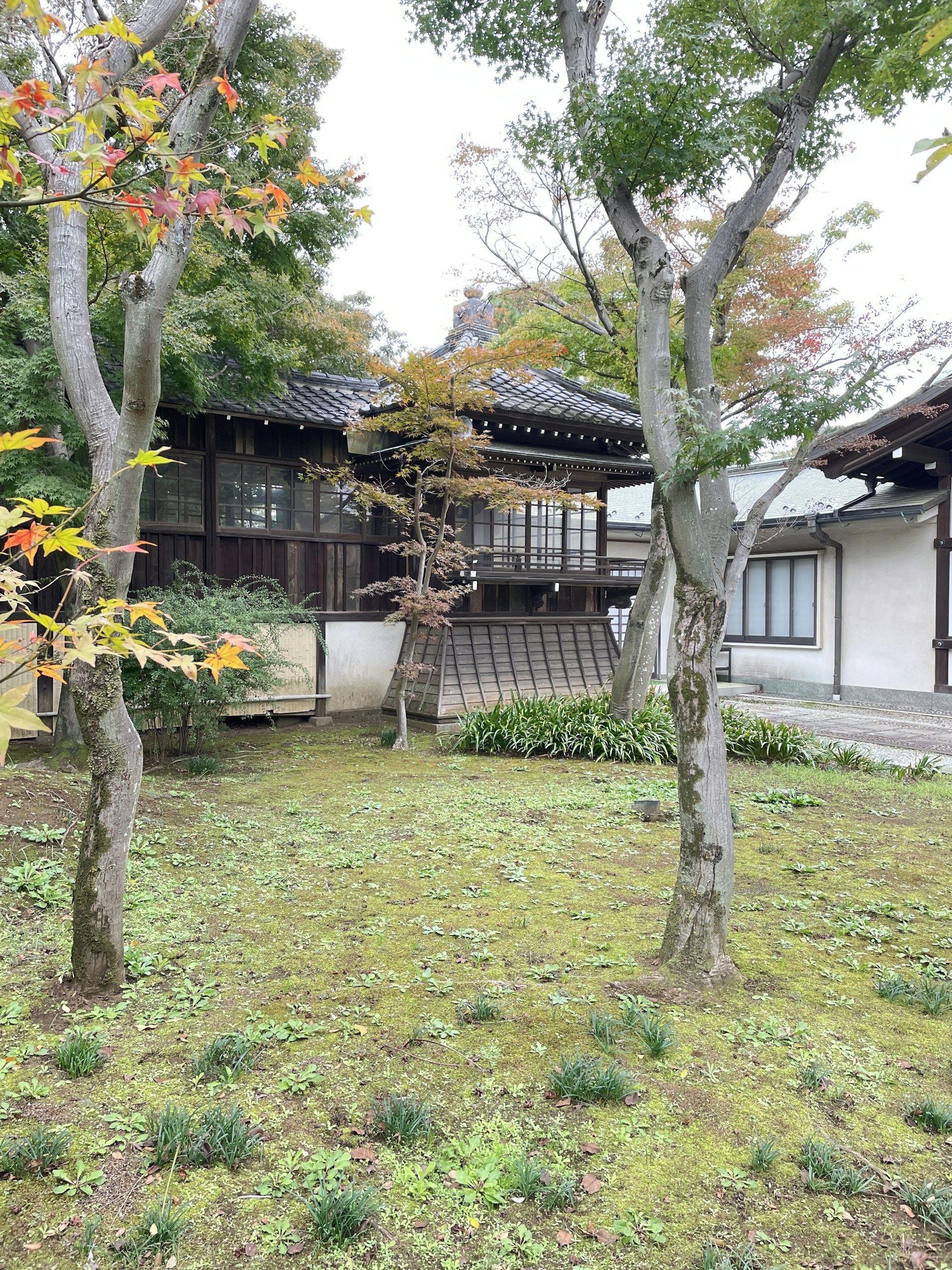 gray computer monitor