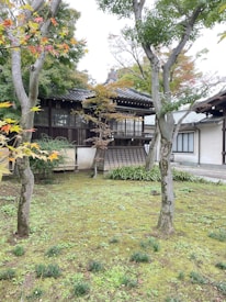 A traditional wooden building set in a lush, green garden. Tall trees with leaves transitioning to autumn colors frame the structure. Moss and small plants cover the ground, creating a serene and natural environment. The architecture features sliding windows and a sloped roof.