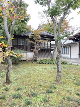 A traditional wooden building set in a lush, green garden. Tall trees with leaves transitioning to autumn colors frame the structure. Moss and small plants cover the ground, creating a serene and natural environment. The architecture features sliding windows and a sloped roof.