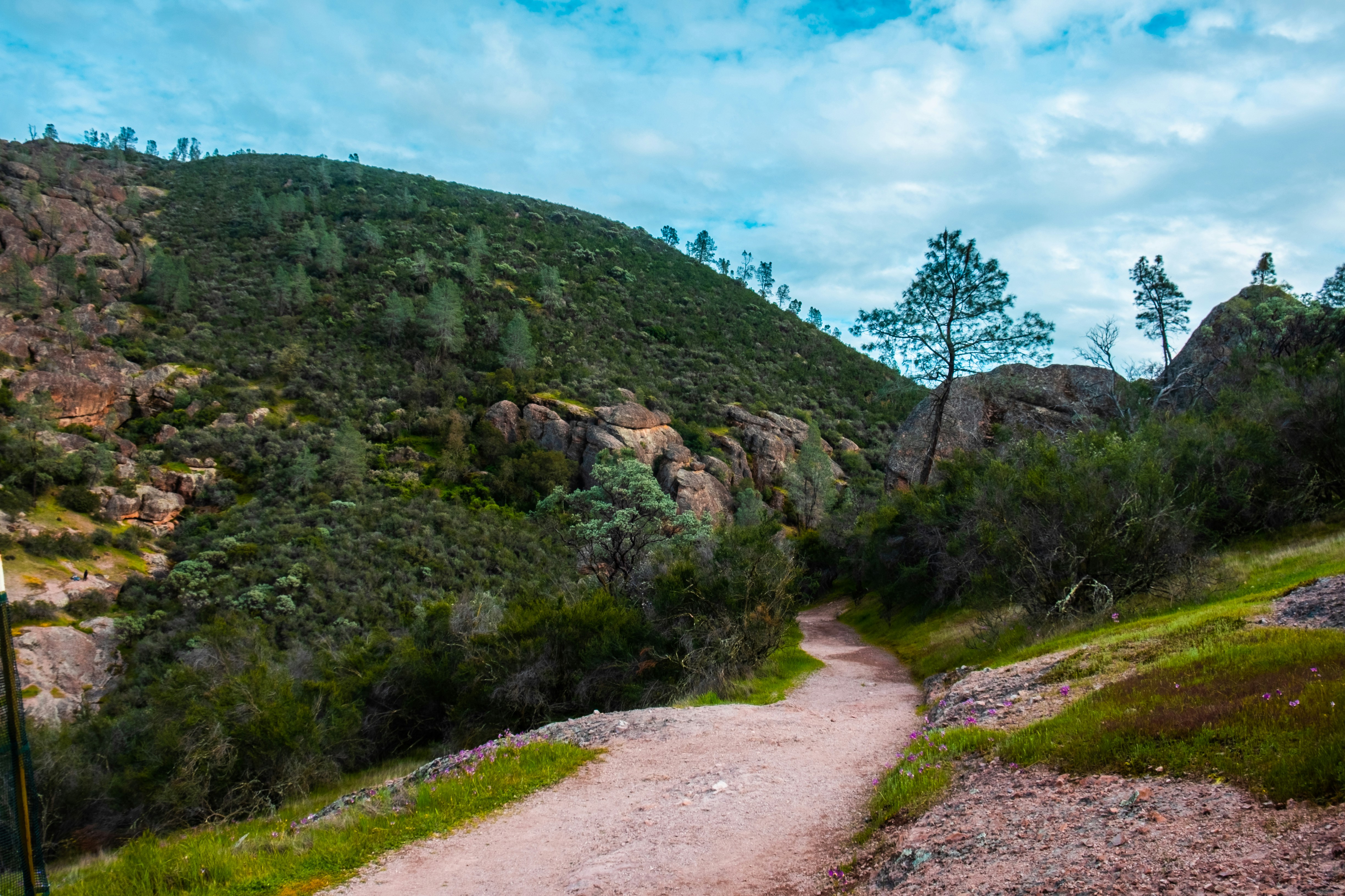 Photo by mo_design_3d