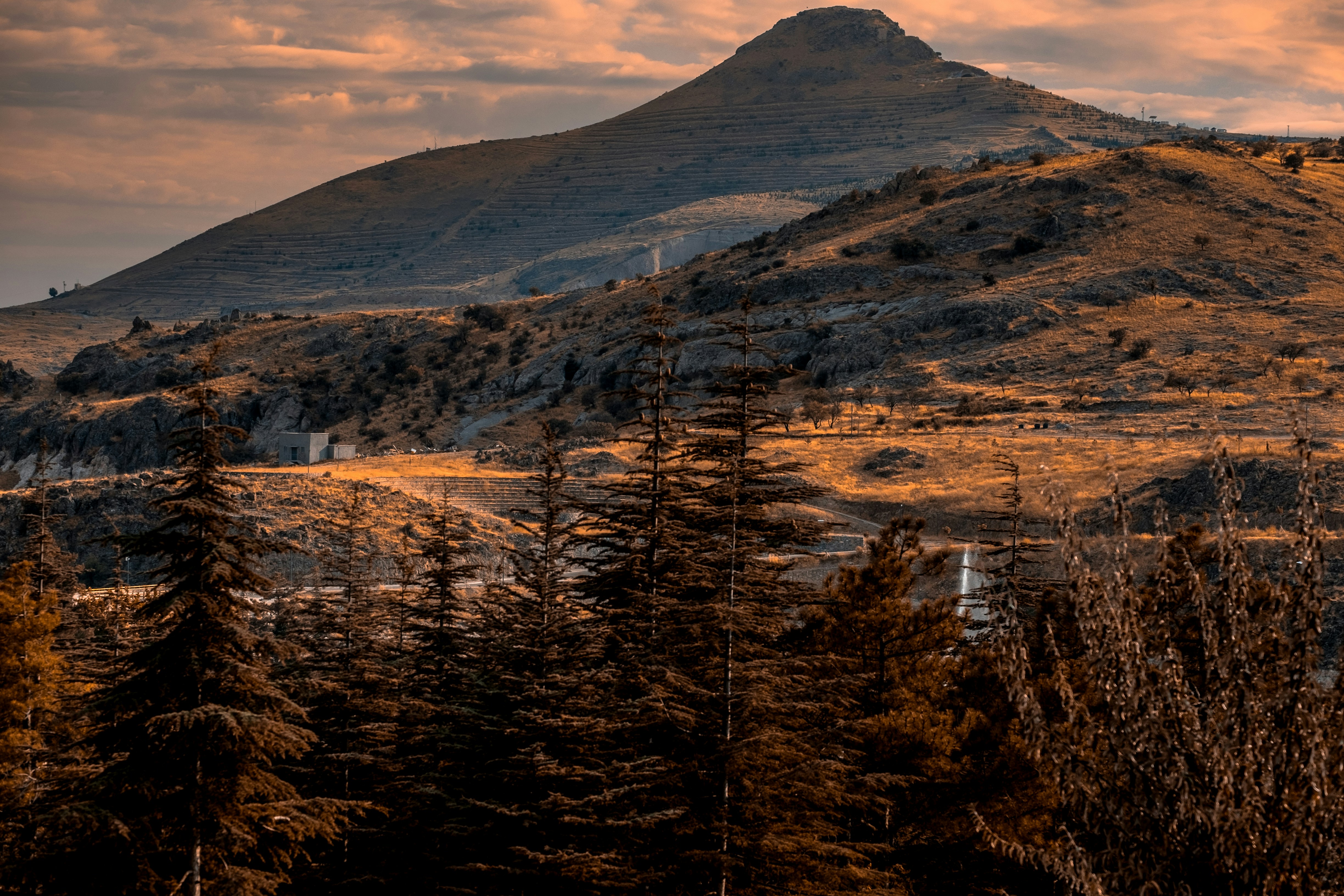 Photo by mo_design_3d