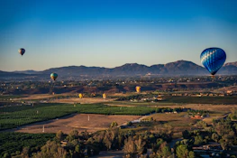 Smiling tourists enjoying a peaceful hot air balloon ride above a patchwork of farmland.