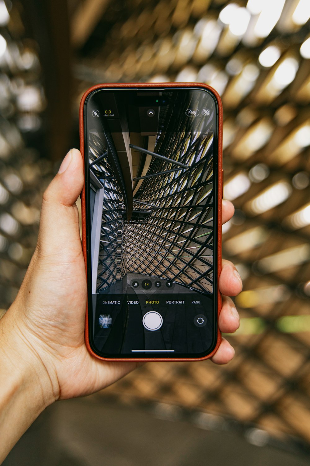 a person holding a cell phone in their hand