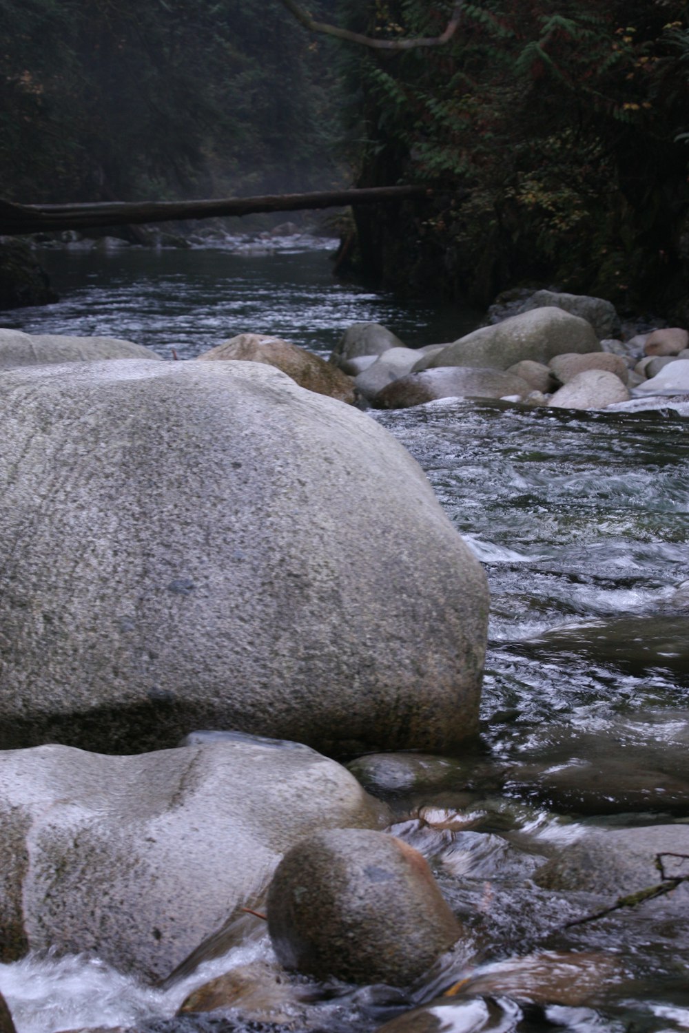 a man standing on a rock next to a river