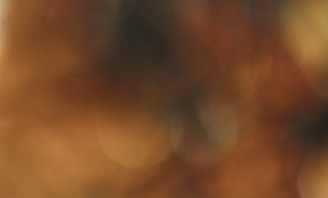 Before-and-after image showing a black-and-white photo transformed with warm, realistic colors.