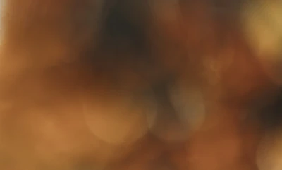 Wide view of a smooth, warm-toned digital background with subtle texture and light effects.