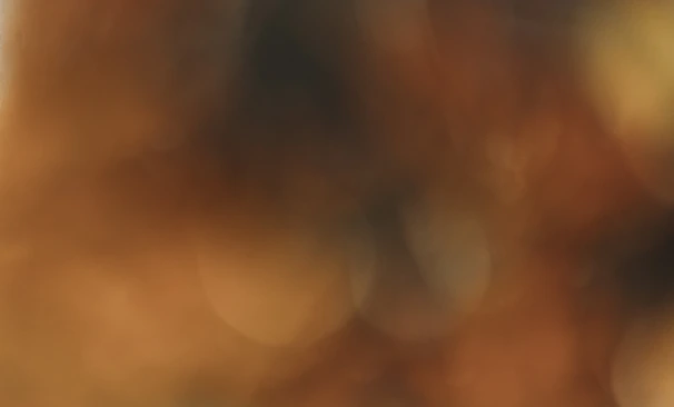 A luxurious AI-crafted portrait featuring soft textures and warm tones.