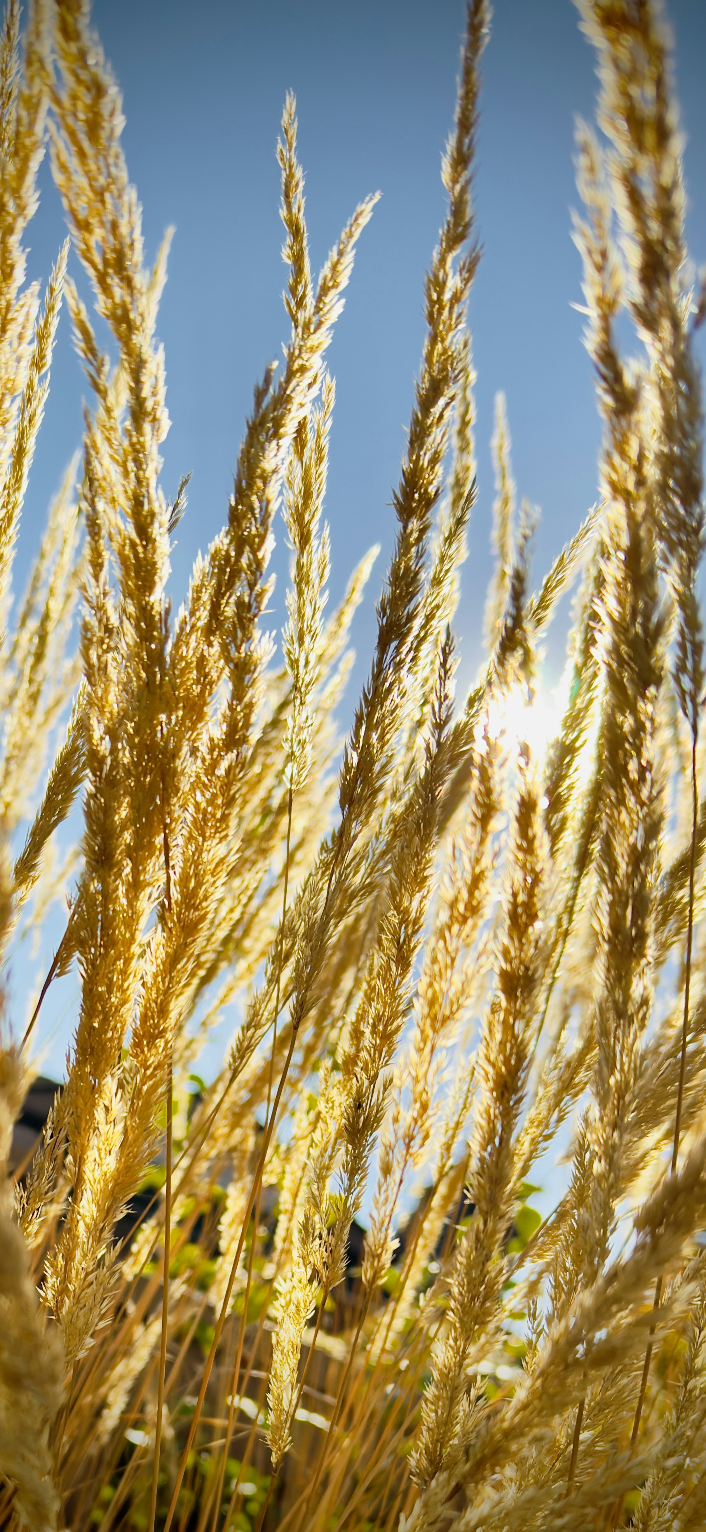 Photo by ehsandashtpeyma