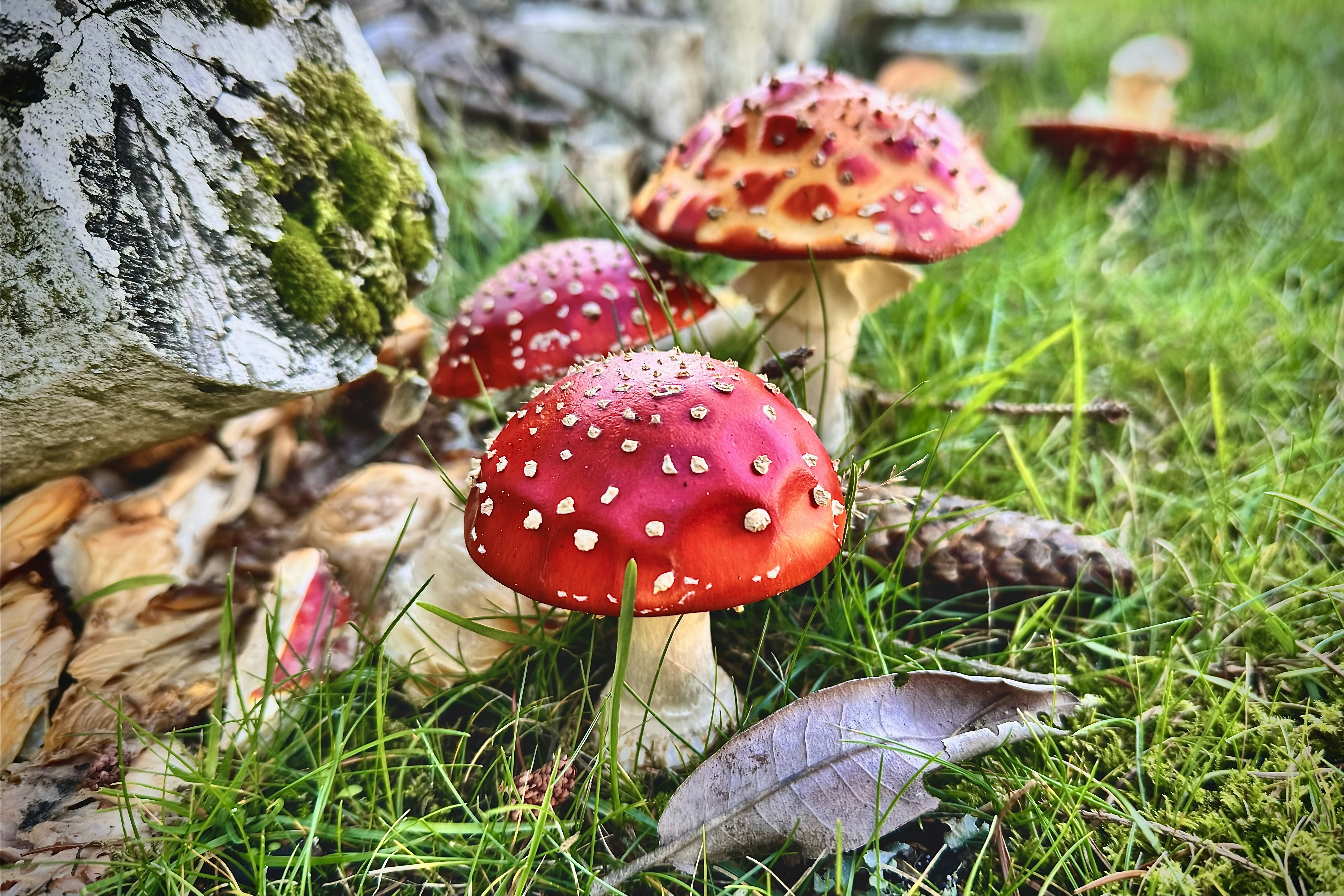 Photo by ehsandashtpeyma
