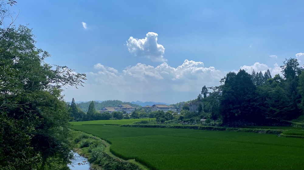 a river running through a lush green field