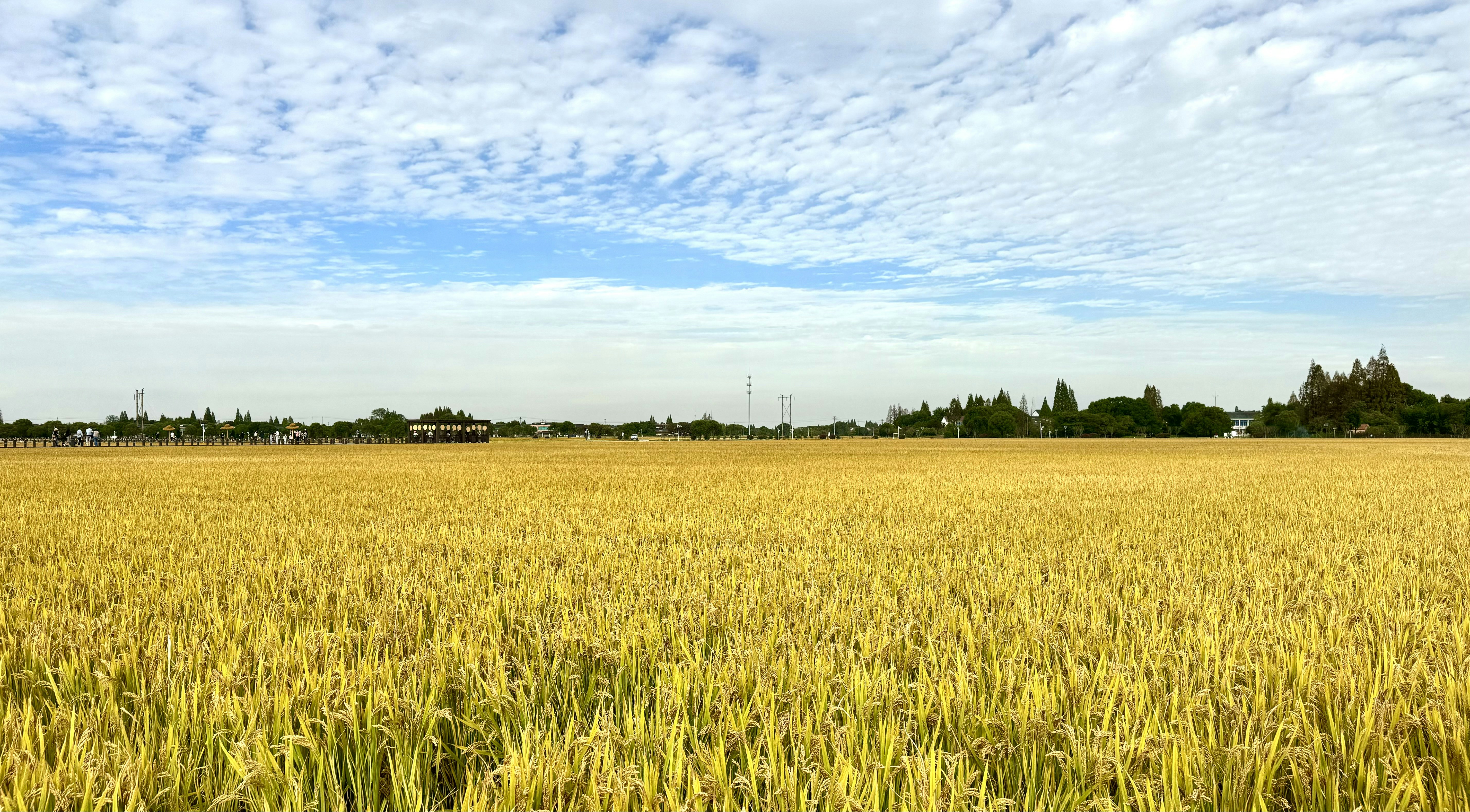 Photo by luanxielewa