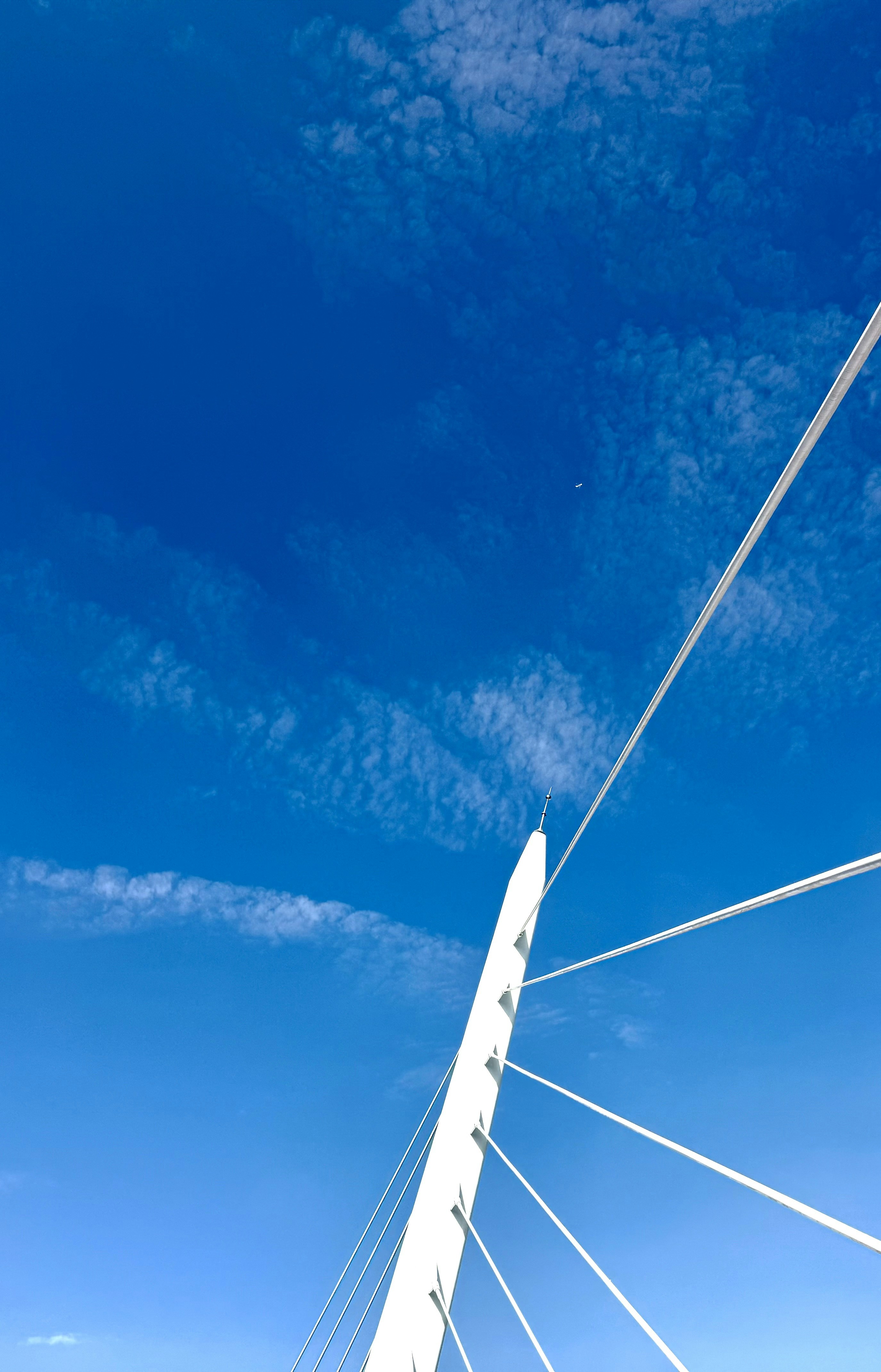 Photo by luanxielewa