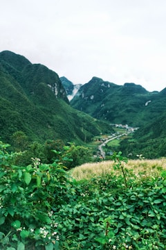 A lush green valley with rolling hills and dense vegetation. A winding road leads through the valley, appearing as a thin line amid small patches of cultivated land. In the distance, mist rolls over the dark green hills under an overcast sky.