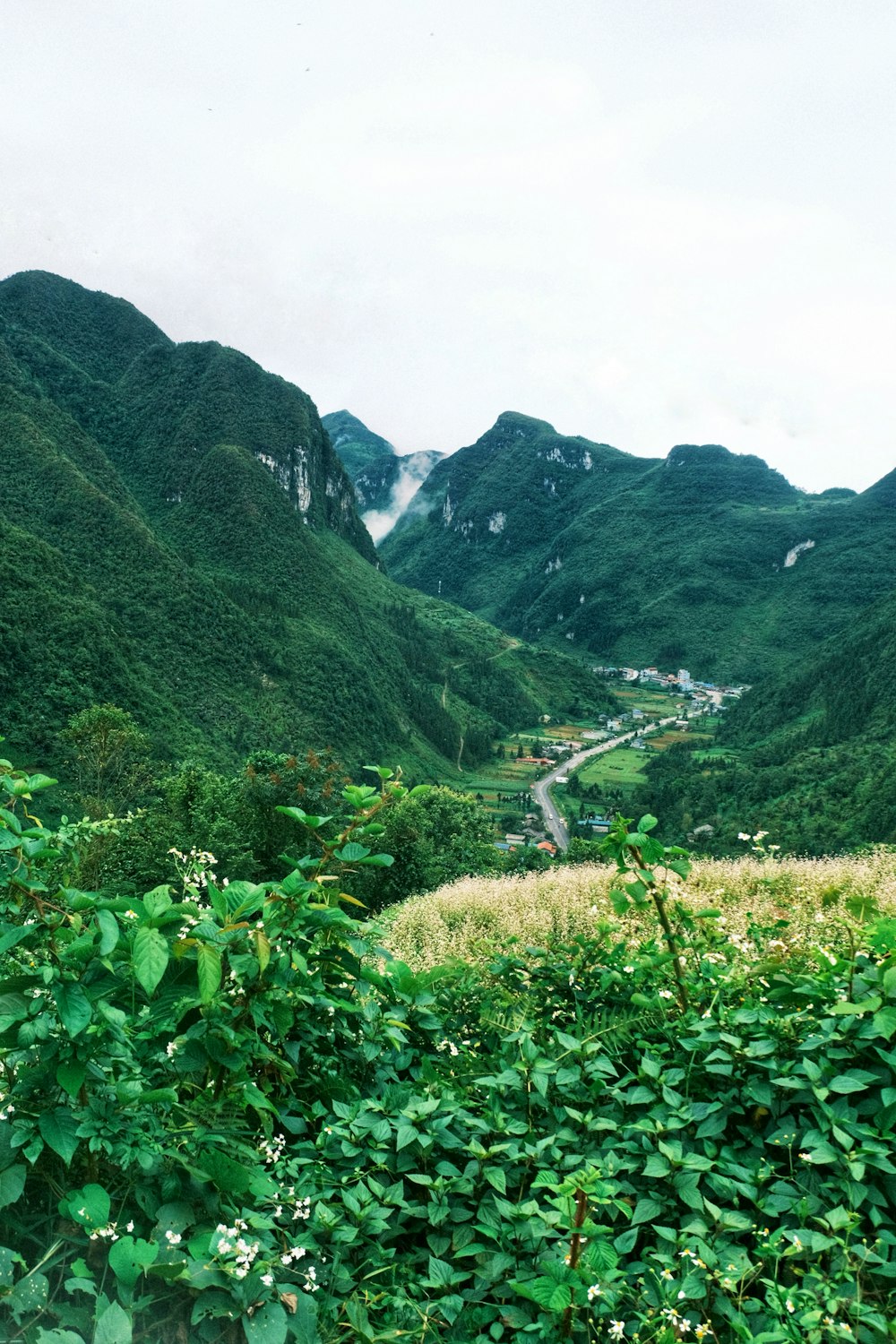 a lush green valley surrounded by mountains
