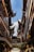 Traditional Chinese architecture featuring intricate, upward-curving tiled roofs framed against a clear blue sky. Wooden structures with detailed carvings and hanging lanterns adorn the narrow alleyway.
