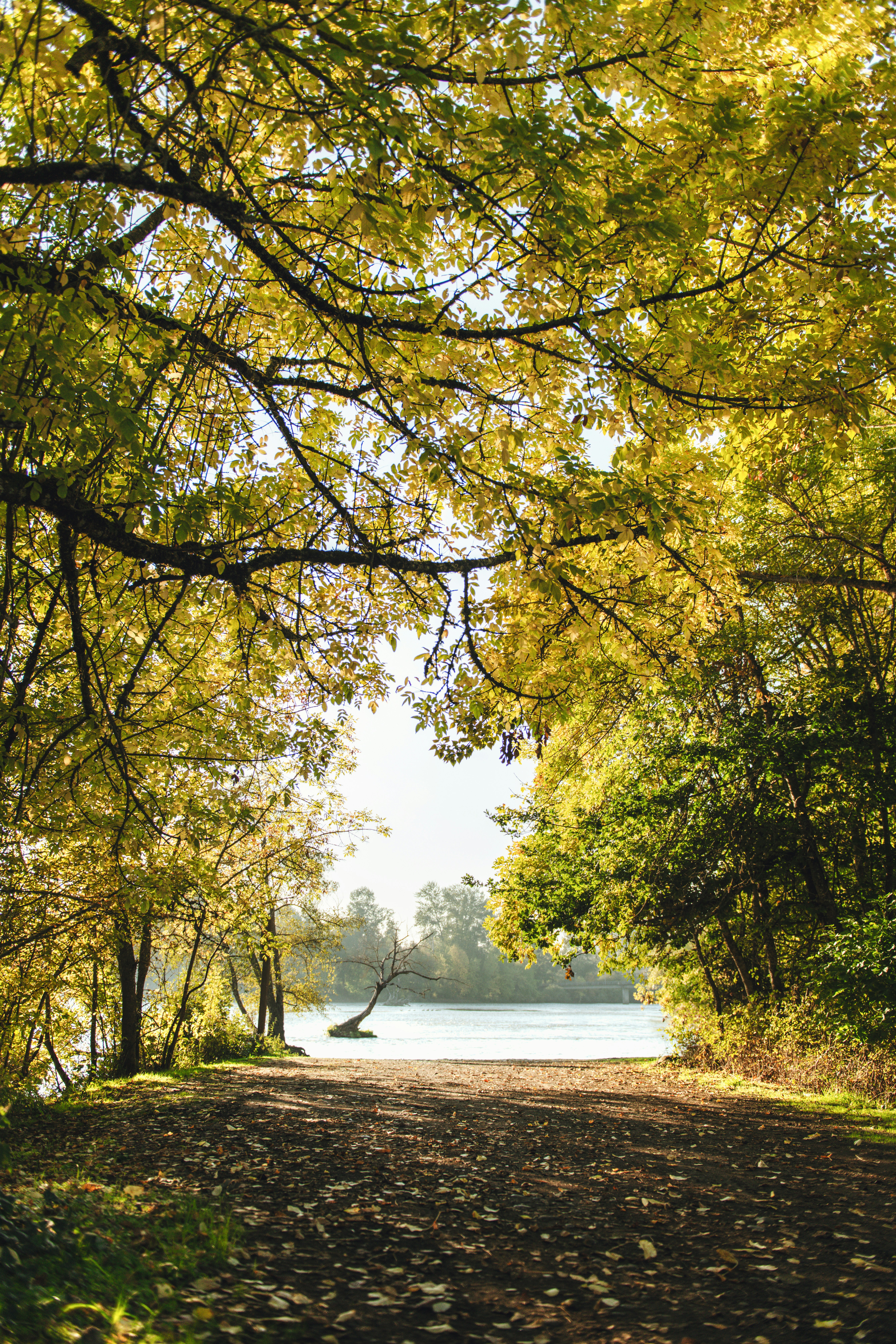 Photo by timmossholder