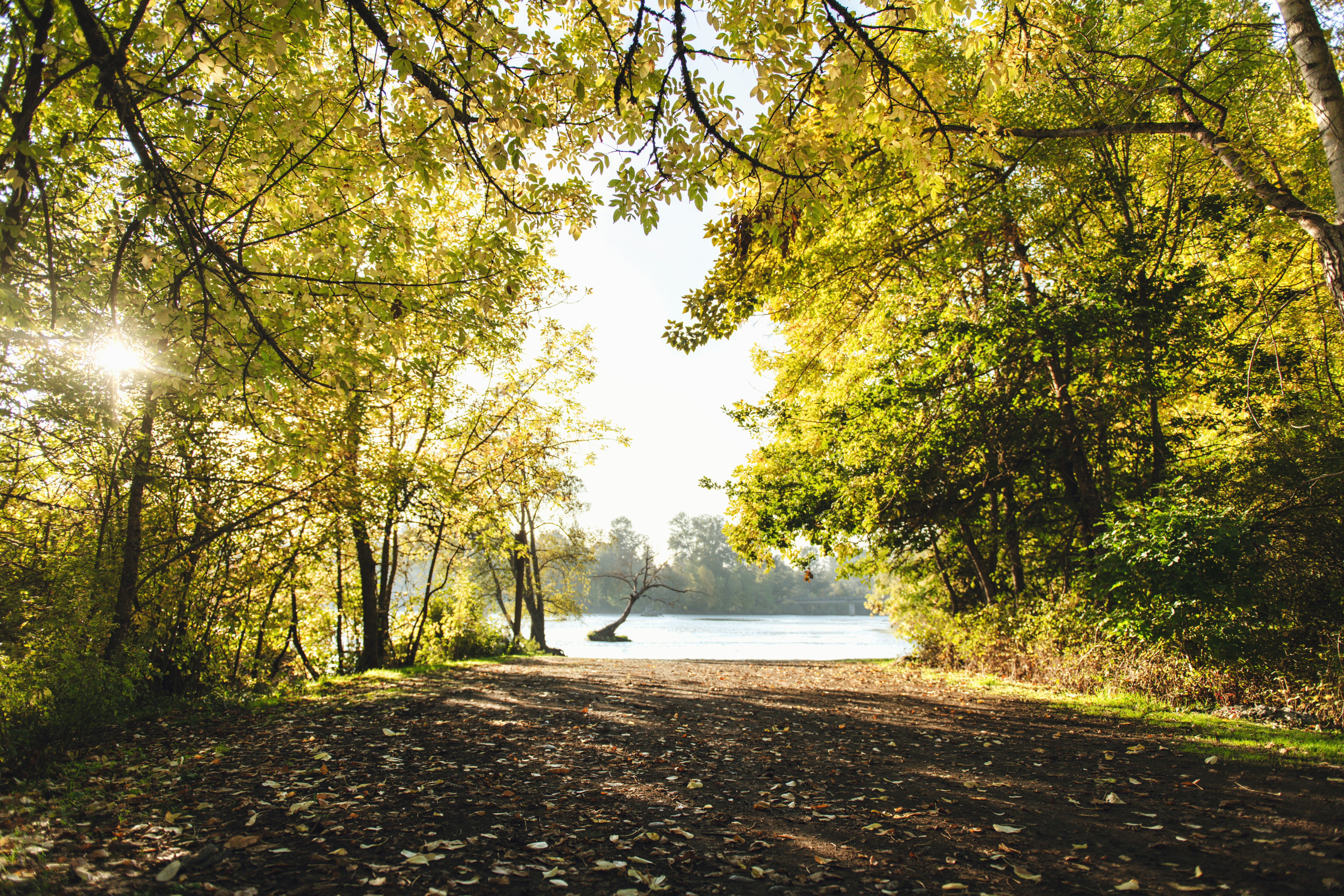 Photo by timmossholder