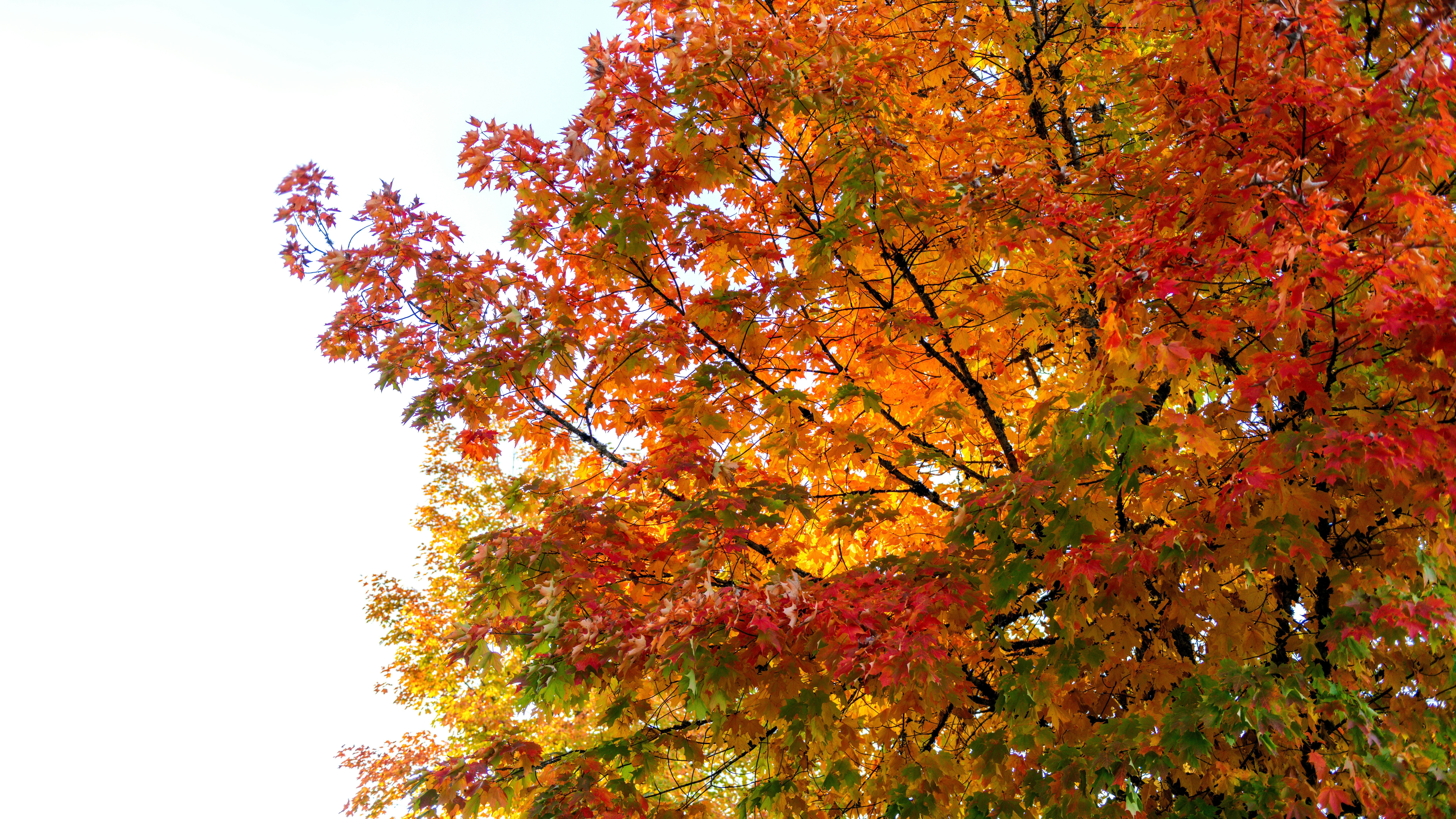 Photo by timmossholder