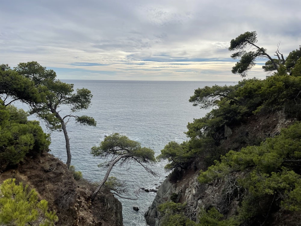 a scenic view of the ocean from a cliff