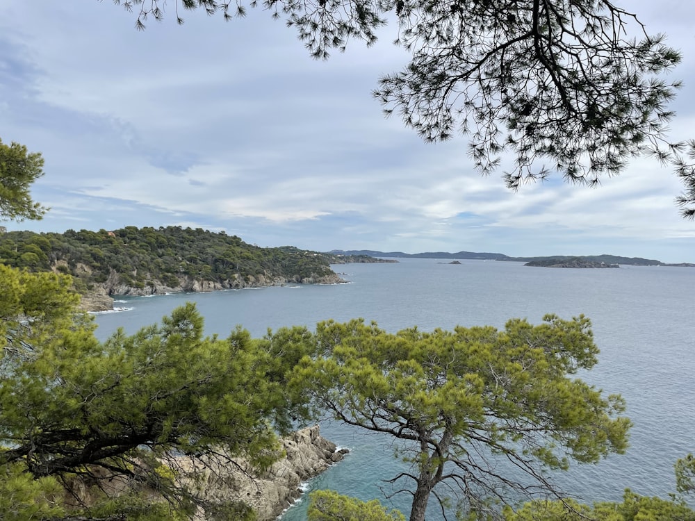 a view of a body of water surrounded by trees