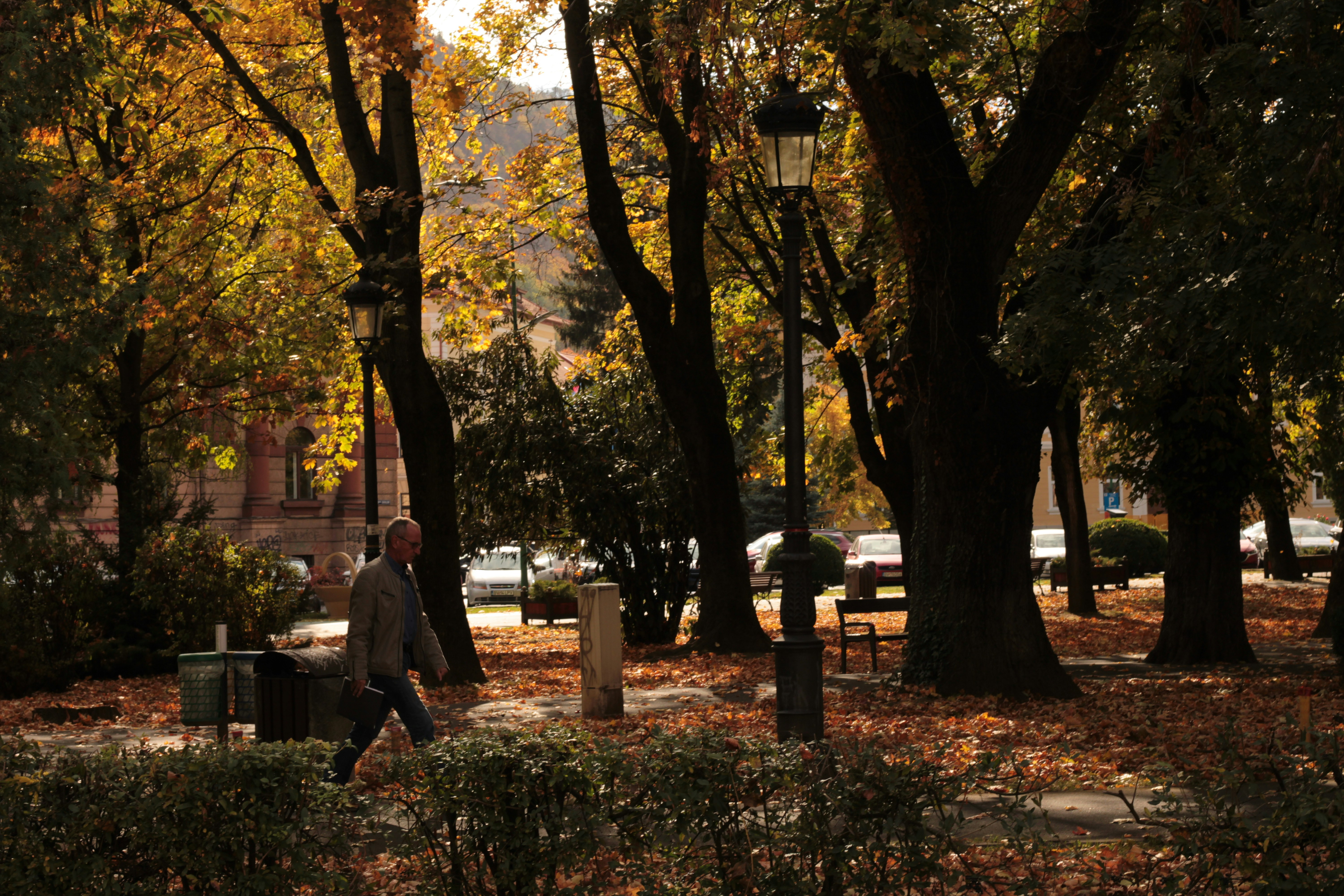 Photo by thorai9akira