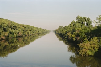 A tranquil river reflecting the green surroundings.
