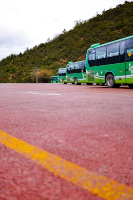 A row of green buses is parked along a red asphalt road with a yellow line, set against a backdrop of lush, tree-covered hills. The overcast sky adds to the subdued ambiance of the scene.