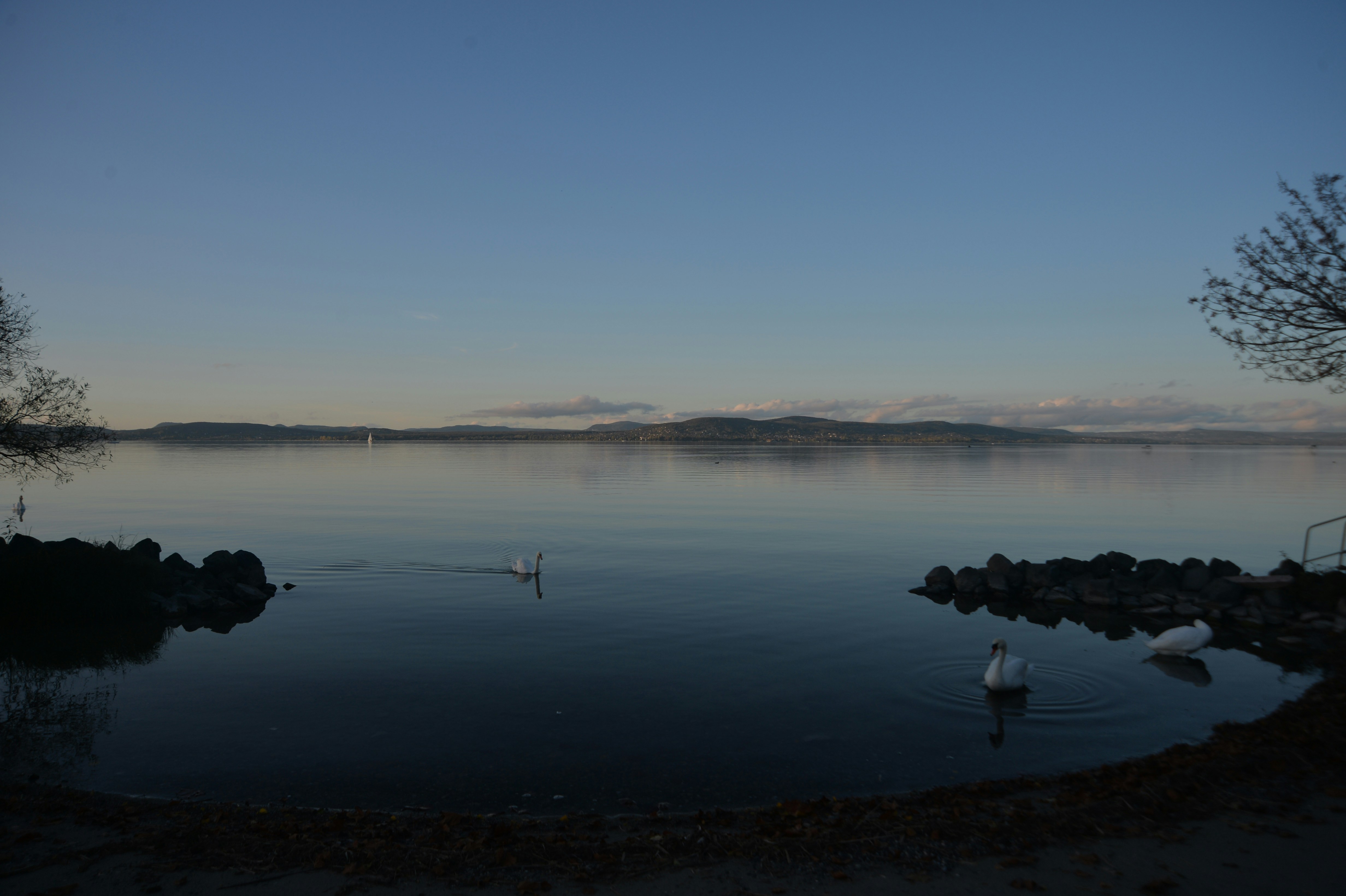 Photo by baliko_andras