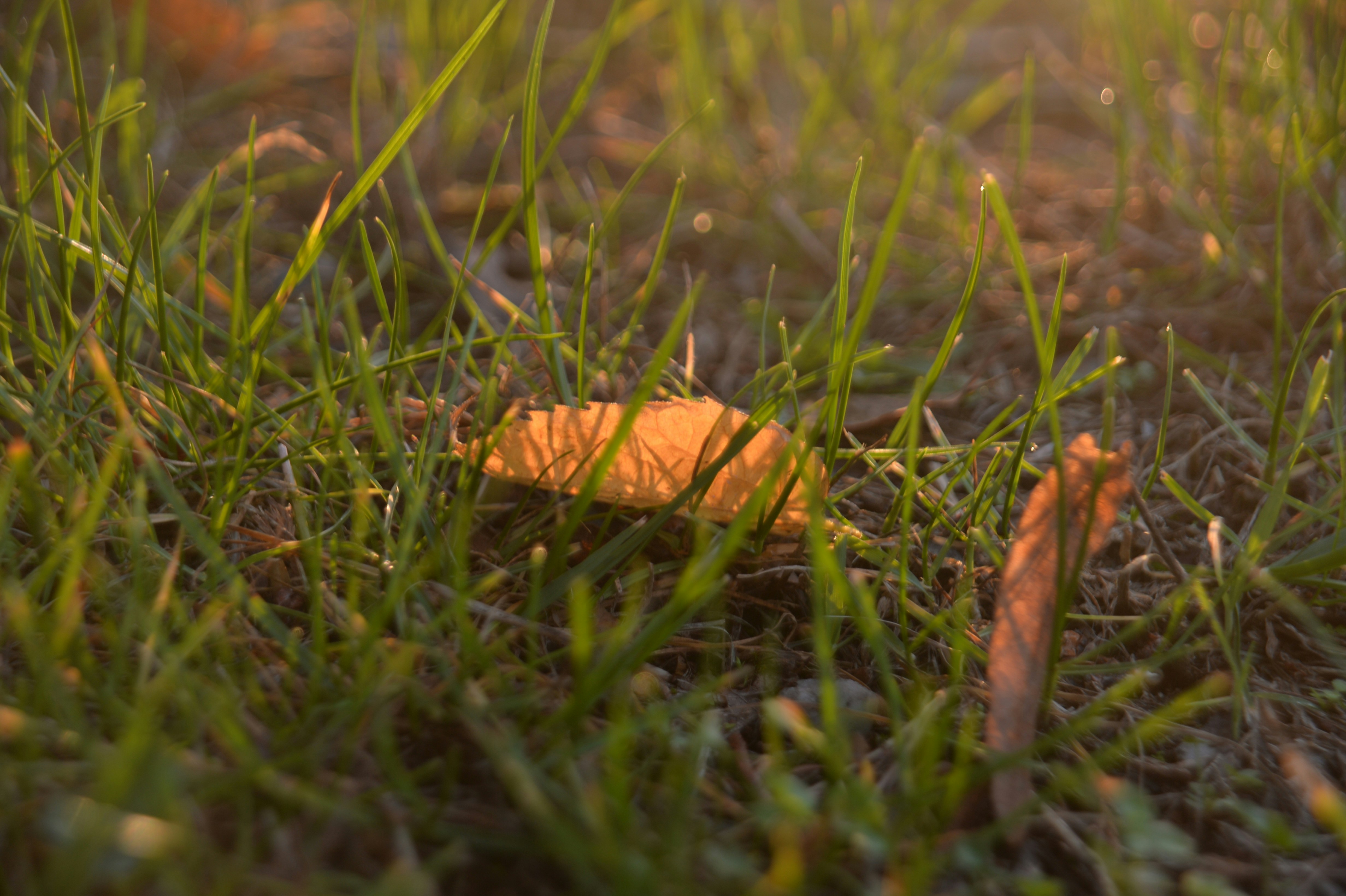 Photo by baliko_andras