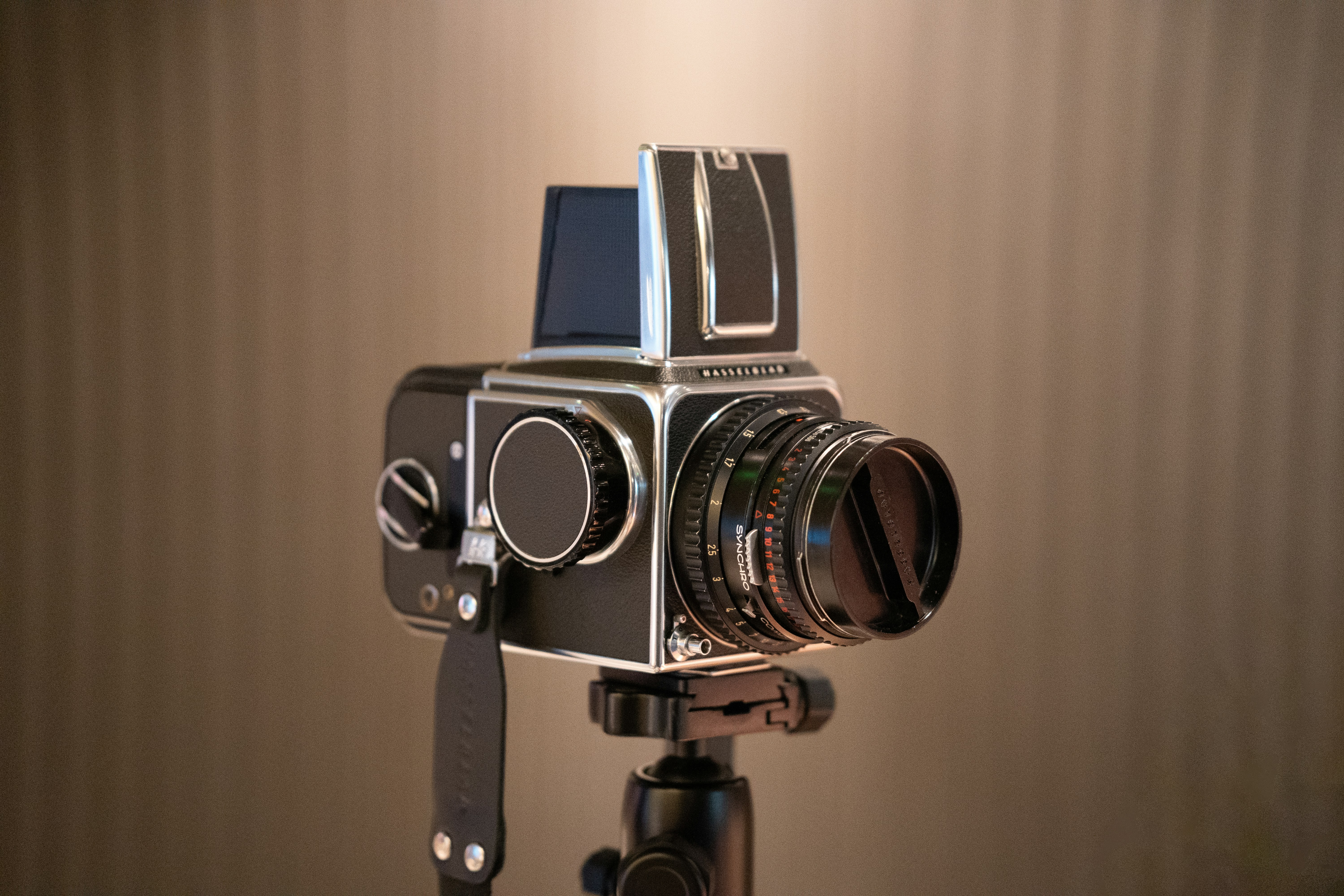 Photo by apricot_tart