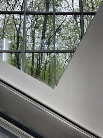 Large glass windows provide a view of green trees framed by a geometric, modern architecture with clean lines and smooth surfaces.