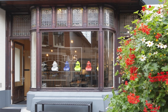 A boutique store facade featuring a window display with colorful bust sculptures and eyeglasses. The storefront is framed by ornate dark wood and stained glass, with a vibrant arrangement of red and white flowers on the right.