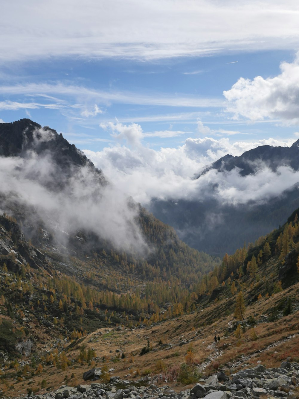 una vista di una valle con le montagne sullo sfondo