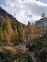 A serene mountain trail with hikers using a mobile app to navigate.