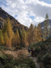 A serene nature scene featuring two hikers walking along a forest path. Towering trees with golden autumn foliage line the trail, with rugged mountain slopes visible in the background under a partially cloudy sky.