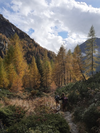 A serene outdoor trip showcasing retirees enjoying nature's beauty.