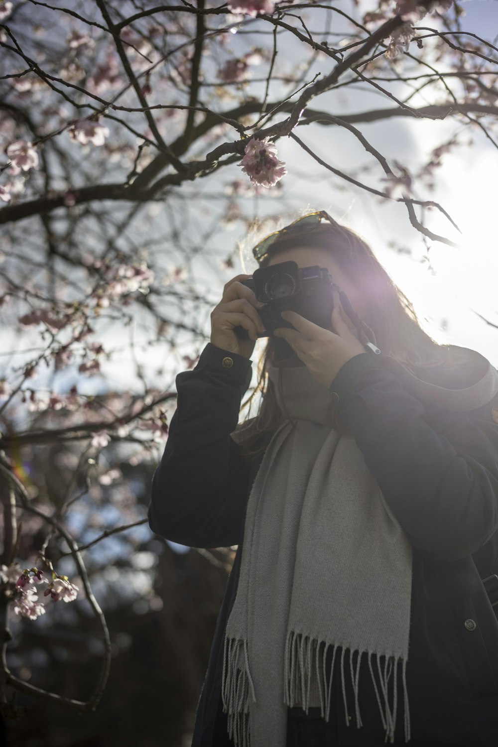 a woman taking a picture of a tree with a camera