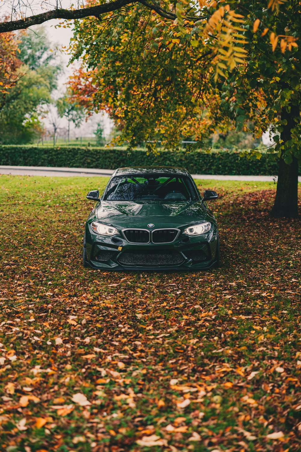 a car parked under a tree in a park