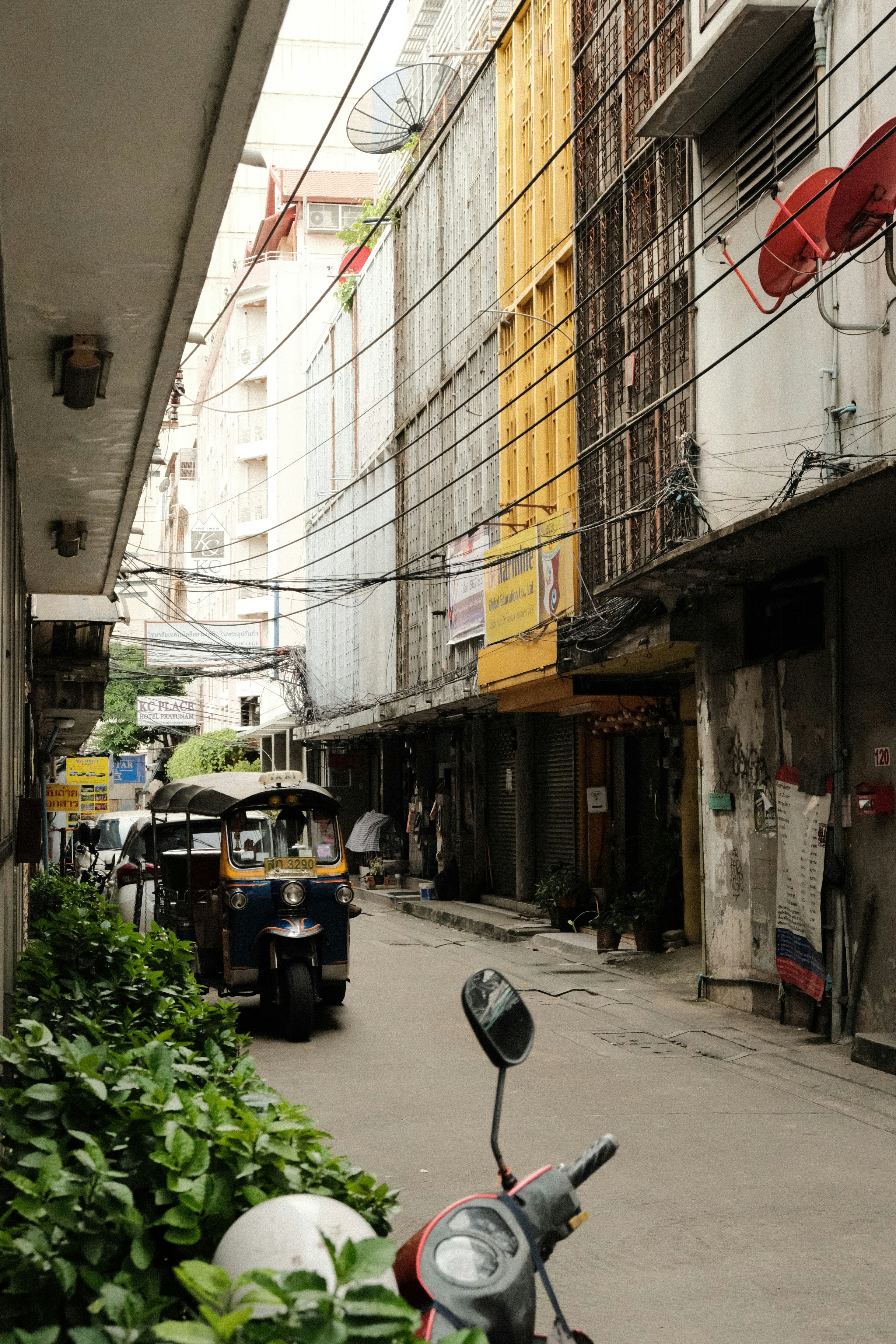 Photo by anastasia_gladkikh