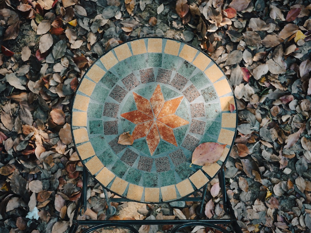 a plate sitting on top of a table surrounded by leaves