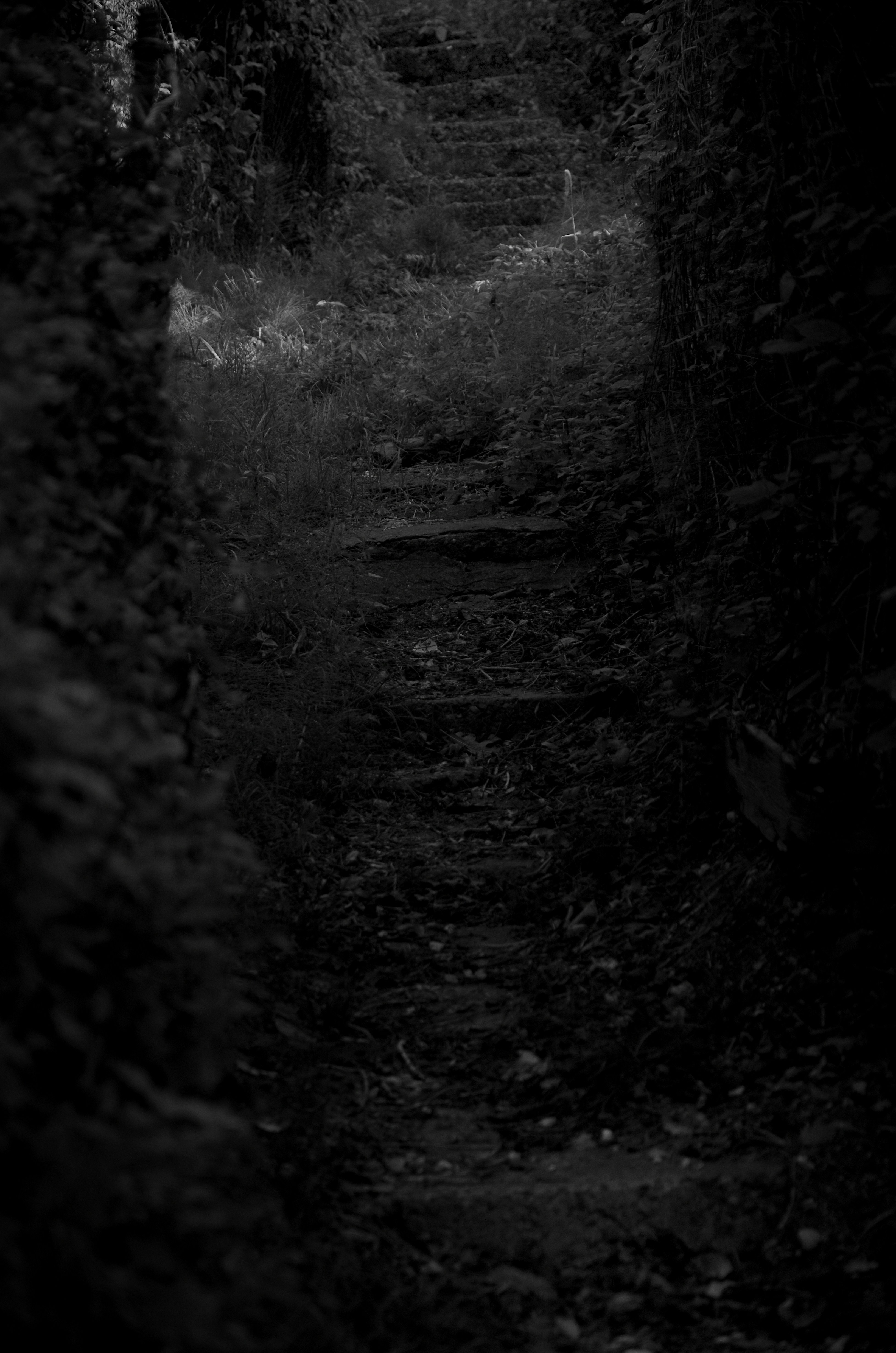 Photo by danila_balashkin